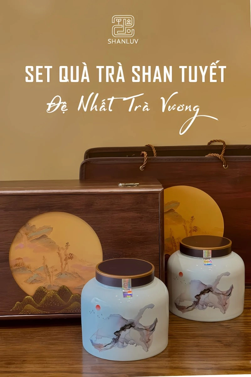 SHANLUV - TRÀ SHAN TUYẾT CỔ THỤ ĐỆ NHẤT TRÀ VƯƠNG